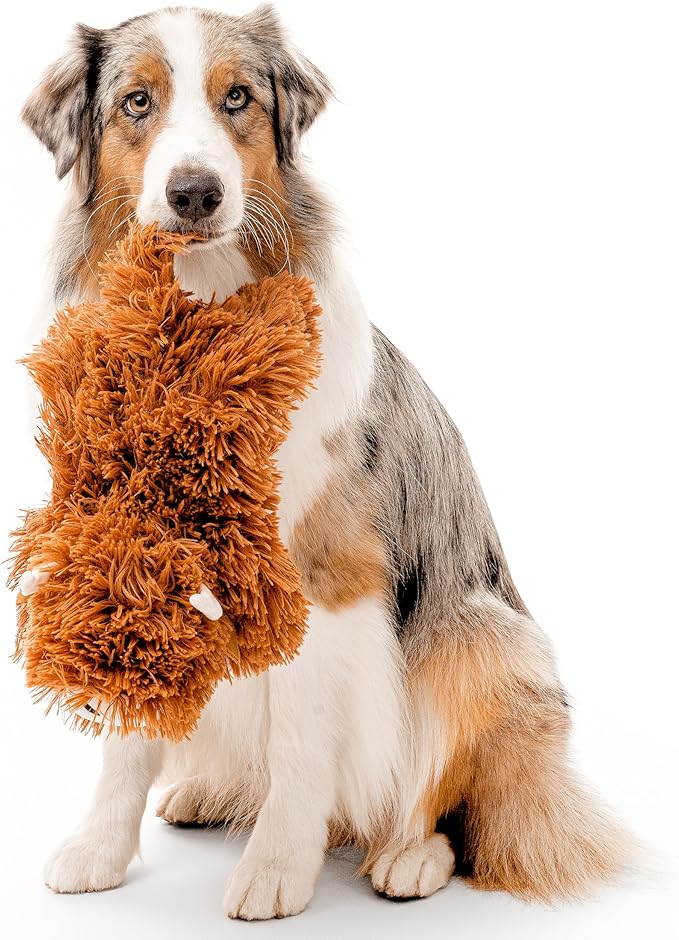 Playology Plush Toys for Dogs | Stuffed Animal Highland Cow| Beef Scented for Large Dogs