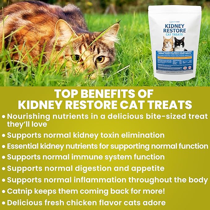 Kidney Restore Chicken Cat Treats for Kidney Support & Function. Feline Kidney Treats, Renal Cat Treats, Low Protein Treats for Kidney Diet Cat Food