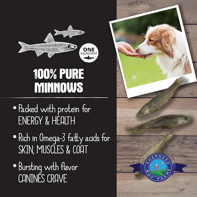 Freeze Dried Dog and Cat Treats, Minnows, All Natural Single Ingredient Freeze-Dried Dog Treat & Snacks, Made in USA, High in Protein, Essential Nutrition of Raw Food, 2oz
