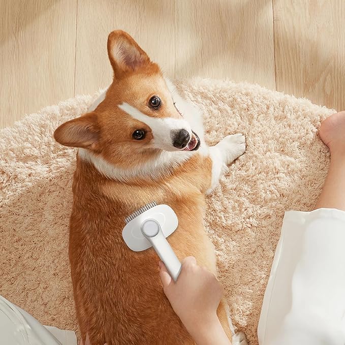 3 in 1 Cat Brush, Pet Brush for Cat Dog Long Short Haired, with Shower Combo, One Click Pet Hair Removal Comb for Small Animals Shedding & Grooming