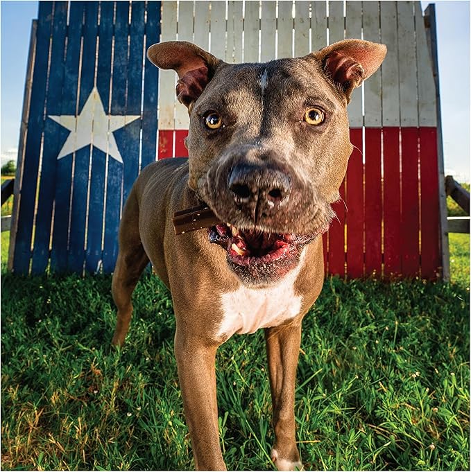 Get Naked Calming Dental Sticks for Dogs – Grain-Free Chicken Flavor, Anxiety Relief with Chamomile, Passion Flower, No CBD, Tartar Control, Gluten-Free – Small Sticks 6.2 oz Bag