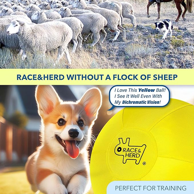 Race&Herd 18" Original XXL Herding Ball for Dogs - Giant Herding Dog Ball Australian Shepherds, Herding Toys, Dog Training Toy for Small Breeds, Dog Toy for Outdoor Play (for Small Dogs, Yellow)