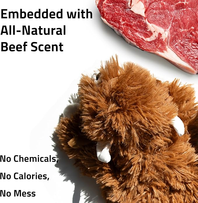 Playology Plush Toys for Dogs | Stuffed Animal Highland Cow| Beef Scented for Large Dogs