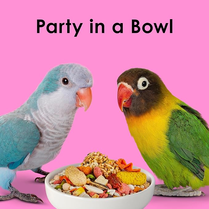 Kaytee Fiesta Big Bites Small Parrot & Conure Food, Nutritious and Fun Blend, Supports Skin, Feather, Digestion, Brain and Heart Health, 4 pounds