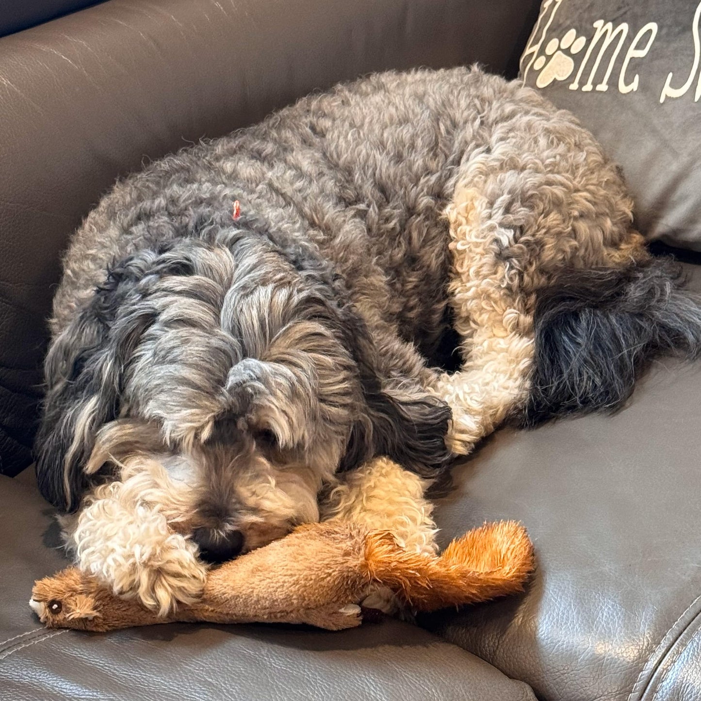 SPOT Skinneeez Plus Squirrel - Stuffing Free Dog Toy with Two Piece Rubber Body and Two Squeakers, Fun to Bite, Stuffingless Design is Great for Moderate Chewers, Tug Toy for Puppies & Dogs - 15in