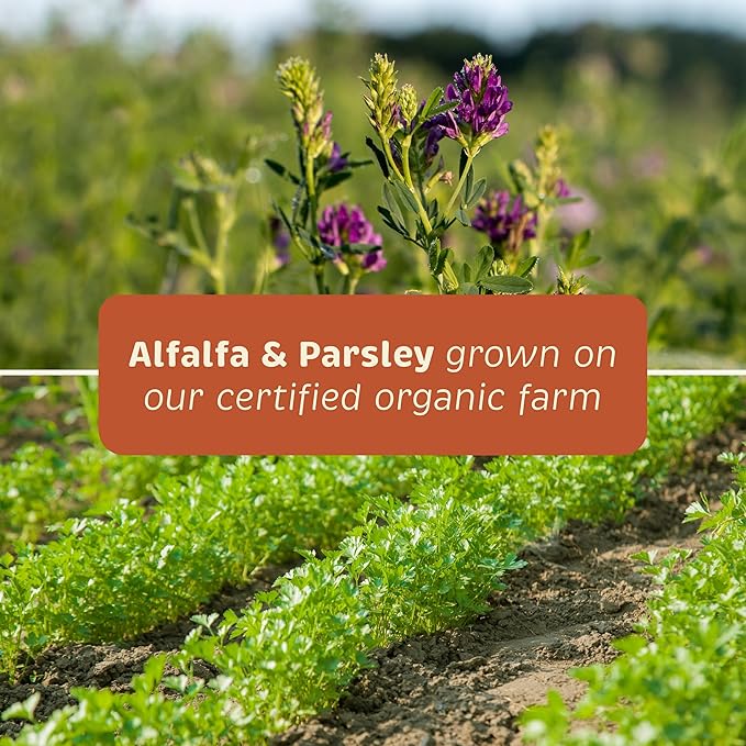 Health + Vitality for Dogs - Pet Supplement for Immune System, Coat, Liver Health & More - Dog Multifunctional Support with Choline, Calcium, Zinc, & Vitamins D and A - 90 Chewable Wafers