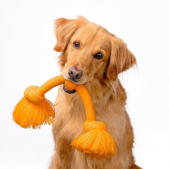 Playology Rope Toys for Dogs | Tug of War Dog Toy for Aggressive Chewers | Cheddar Cheese Scented Dog Toys | Jumbo Rope Toy for Interactive Play