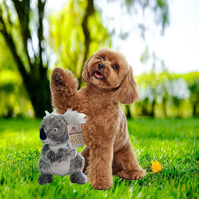 Koala Bear Stuffed Dog Toy – “Boomer The Bush Buddy”