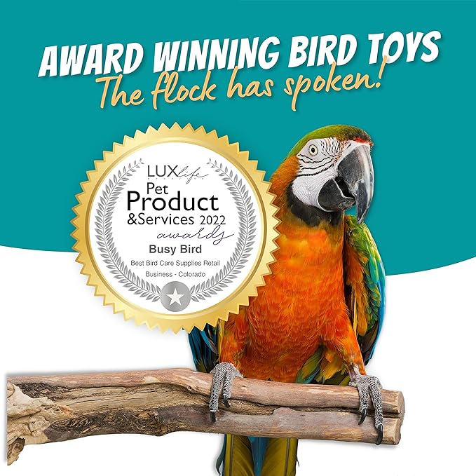 Busy Box Bird Foraging Toy | Interactive Treat Dispenser | Promotes Natural Foraging Behavior | Bird Cage Accessories for Medium to Extra Large Birds | Colorful Toys for Parrots, Cockatiel, Cockatoos
