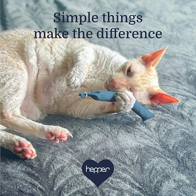 Hepper Stick Catnip Kicker - Organic American Catnip Bag, Minimalist Cat Toys for Indoor Cats