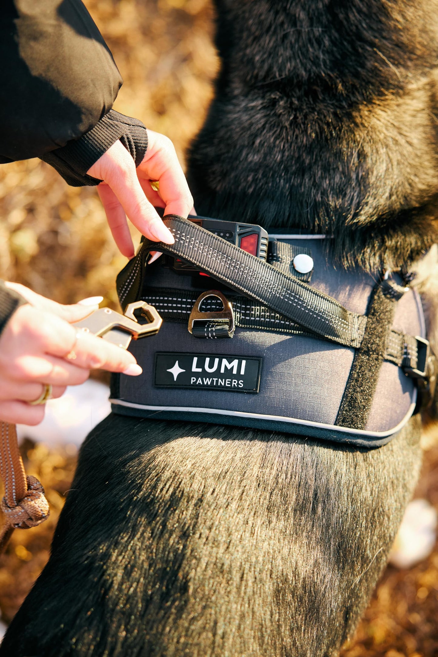 Lumi One LED Dog Harness for Night Visibility and Safety, Patent Pending – High-Visibility Light-Up Dog Vest with 1000 Lumen LED, Rechargeable Battery, Adjustable Fit, Reflective Trim (Black, Medium)