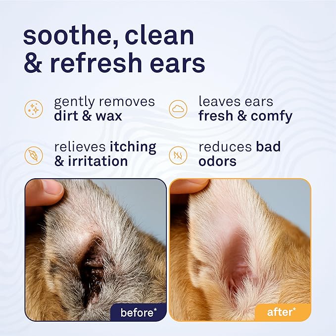 Petpost | Large Dog Ear Cleaner Wipes - Ultra Soft XL Cotton Pads in Coconut Oil Aloe Solution - Remedy for Dog Ear Rinse & Cleanser 60 ct.