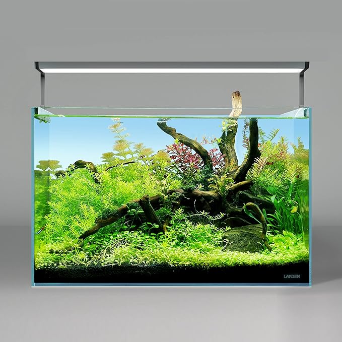 LANDEN Kueiyang Hornwood for Aquascaping, Aquarium Driftwood Decor, Natural Branches(12-14 inches, 30-35cm) 4pcs Terrariums Vivariums Reptile and Amphibian Enclosures Various Shapes