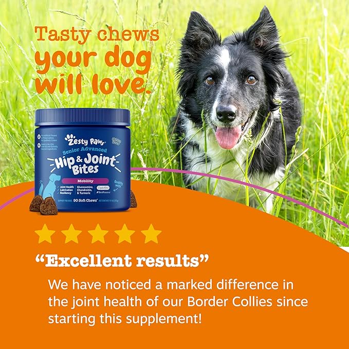 Zesty Paws Mobility Bites Joint Supplement for Dogs - Soft Chews with Glucosamine for Dogs, Chondroitin, & MSM + Vitamins C and E - Adv Chicken - 90 Count