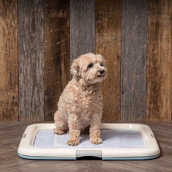 IRIS USA Pee Pad Holder - For Potty Training Regular Sized Dog & Puppy Pee Pads, Secured Latches, Non-Skid Feet, Leak Protection, Fits 22"x22" Pad or Larger, Square, Blue