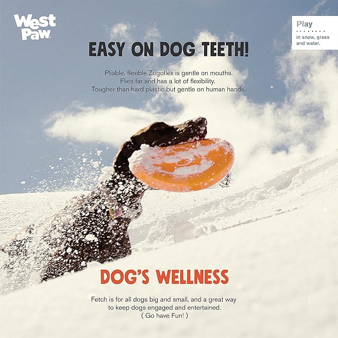 West Paw Zogoflex Zisc Dog Flying Disc, High Flying Aerodynamic Disc for Dogs Puppy – Lightweight, Floatable Disc for Fetch, Tug of War, Catch, Play – Doubles as Food/Water Bowl, Small 6.5", Aqua Blue