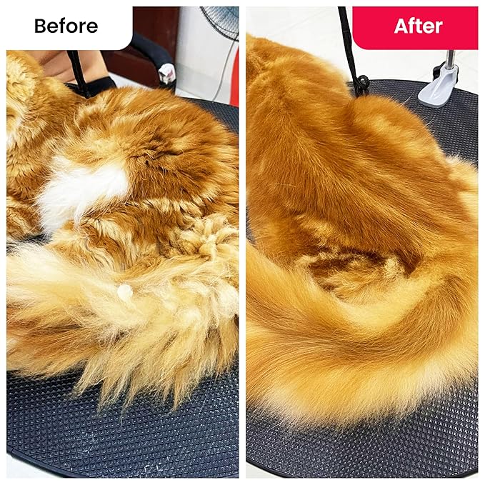 CATTASAURUS Cats & Dogs Grooming Brush for Shedding - 2 in 1 Deshedding Tool and Undercoat Rake for Long and Short Haired Dogs with Double Coat - Dematting Comb and Pet Hair Deshedder Supplies