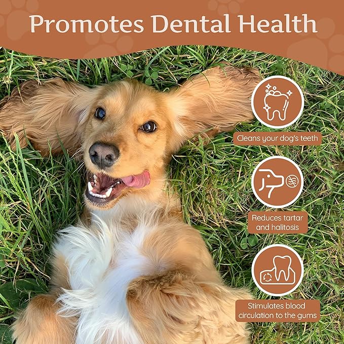 Wildfang® Coffee Wood Dog Chew, Medium - Tough Chew Toys for Aggressive Chewers, Dog Teething Toys for Puppies, Training for Chewing Muscles, Coffee Tree Sticks for Medium Dogs (33-55 lbs)