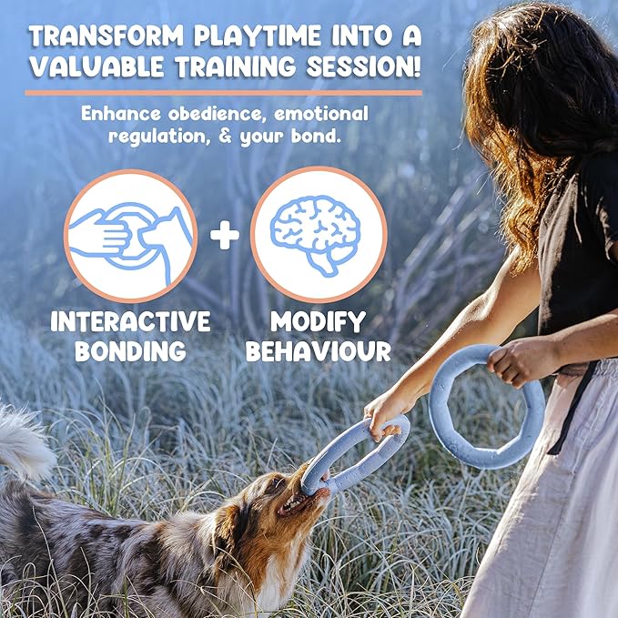 Set of 2 Active Dog Toy Rings - Floating Dog Rings for Outdoor Play, Training & Fetch - Durable Fetch Toy, Frisbee Alt, Outside Yard Toys for Large Breeds - Blue