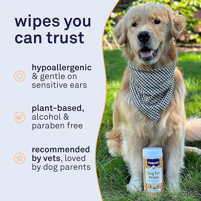 Petpost | Large Dog Ear Cleaner Wipes - Ultra Soft XL Cotton Pads in Coconut Oil Aloe Solution - Remedy for Dog Ear Rinse & Cleanser 60 ct.