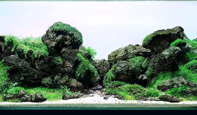 LANDEN Aquascape Hardscape Bundle – Black Lava Rock 18lbs (3–11”) + Spider Wood XL (12–16”, 4pcs) for Aquarium, Terrarium, Paludarium Landscaping