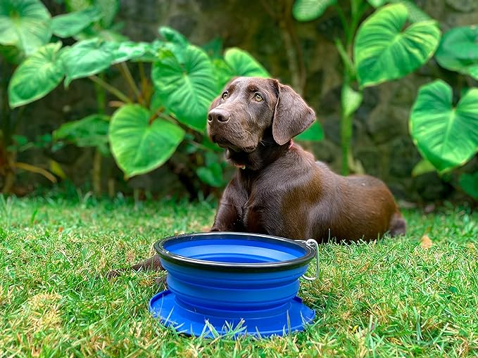 Tuff Pupper SuperBigSlurp Collapsible Dog Bowls, Extra Large Capacity, Portable, Food Safe, Odorless, Non-Toxic Silicone