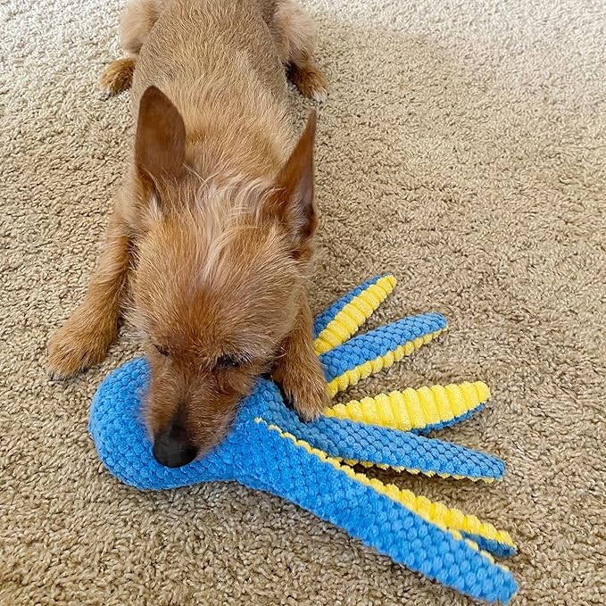 Prime Pets Dog Toys, 5 Pack, Plush Dog Squeaky Toys, Assortment Bundle Ocean Animal Pet Toy for Small Medium Large Dogs, Stuffed Puppy Chew Toy, Doggy Birthday Gift