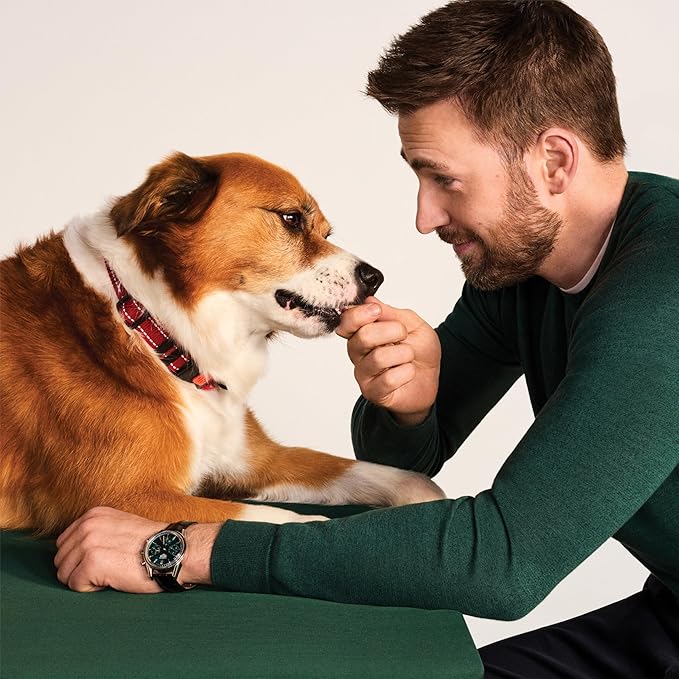 Jinx Beef Bites Jerky Dog Treats - Soft & Chewy, All Natural Dog Jerky Treats with Grass-Fed Beef - Pet Products for All Dogs (Puppies, Adults & Seniors) - 15oz