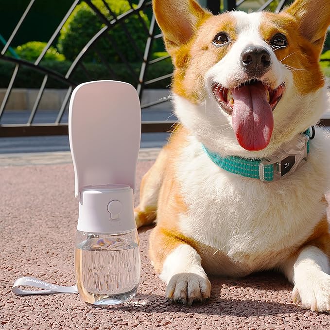 Foldable Dog Water Bottle, Portable Dog Water Dispenser, Outdoor Pet Water Bottle for Cat, Puppy, Walking, Hiking, Travel. Dishwasher Safe, 10oz