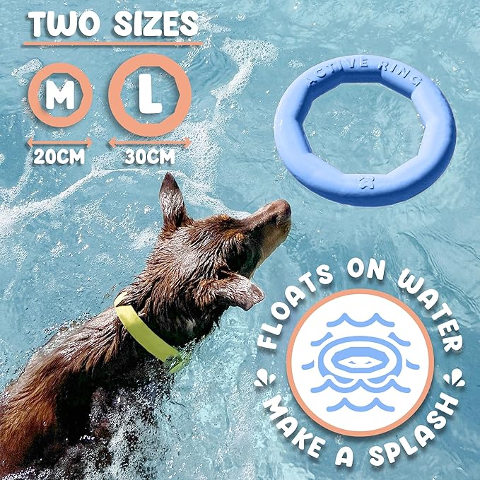 Set of 2 Active Dog Toy Rings - Floating Dog Rings for Outdoor Play, Training & Fetch - Durable Fetch Toy, Frisbee Alt, Outside Yard Toys for Large Breeds - Blue