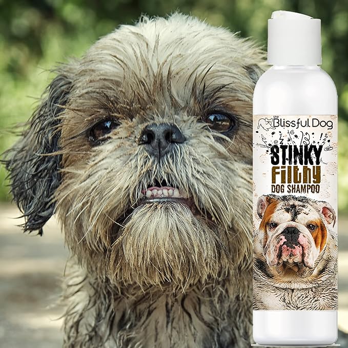 The Blissful Dog Stinky Filthy Dog Shampoo, 8-Ounce