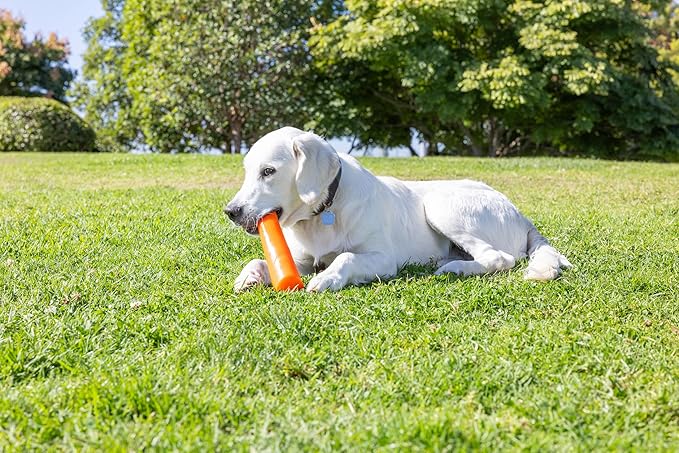Chuckit! Super Crunch Fetch Stick Dog Toy, 9.2 inches in Length, Medium-Large, for Breeds 20-100 lbs