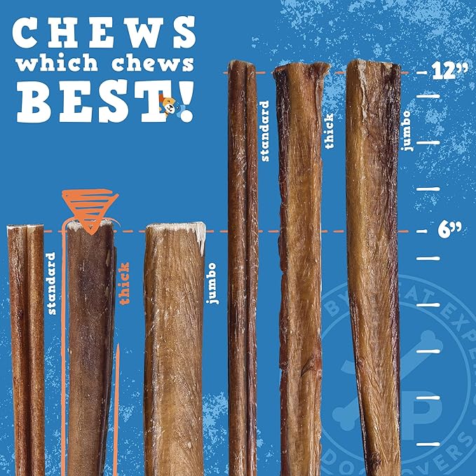 Jack&Pup 6 Inch Bully Sticks for Medium Dogs | Thick Odor Free Bully Sticks for Large Dogs | All Natural Beef Pizzle Sticks (Thick, 15 Pack)