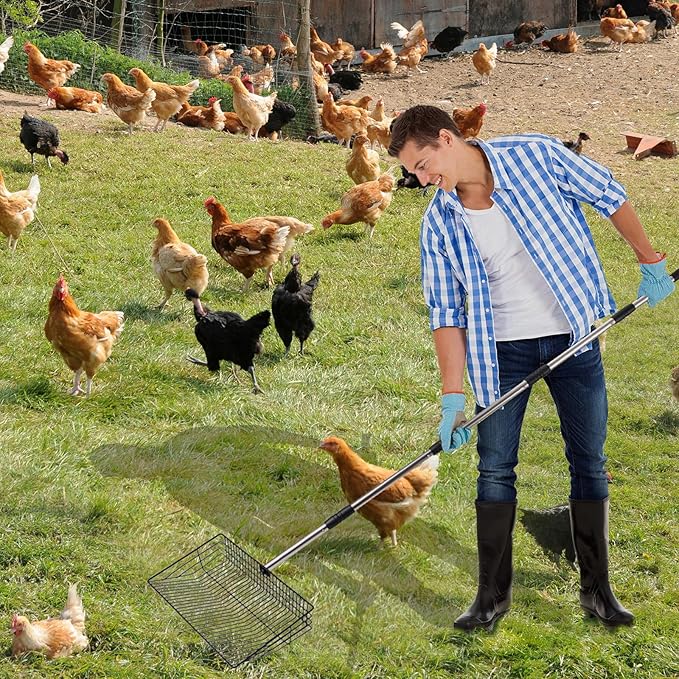 Large Chicken Poop Scooper, Metal Coop Scoop with 32" to 67" Adjustable Long Stainless Steel Handle, Chicken Poop Scooper for Sand with Heavy Duty Sifting Shovel for Chicken/ Horse/ Pet Coops (10 IN)