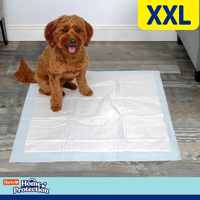 Hartz Home Protection Mountain Fresh Scented USA Made Dog Pads, XXL 60 Count, Super Absorbent & Won't Leak, Odor Eliminating