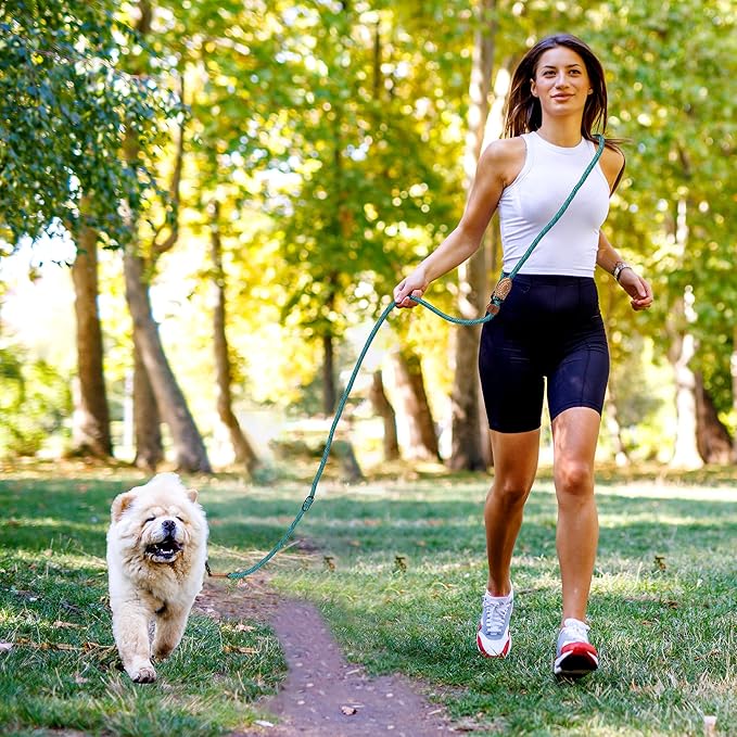 Mile High Life Hands Free Dog Leash, Crossbody Waist Leash with Genuine Leather Connection, Multifunctional Adjustable Slip Lead for Dog Walking Running (Green, 8FT)