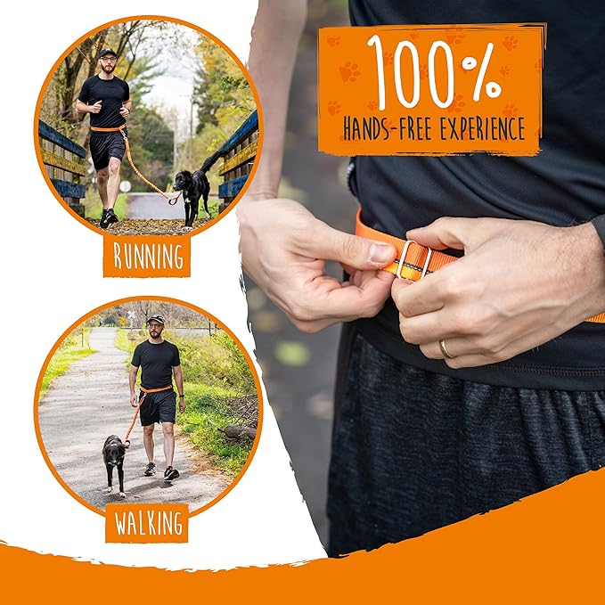 Mighty Paw Hands Free Dog Leash | Bungee Waist Leash for Dog Walking. Pet Running Hands Free Tether for Large, Medium & Small Breeds. Pet Waist Belt (36" - 48") Up to 150 lbs - Orange