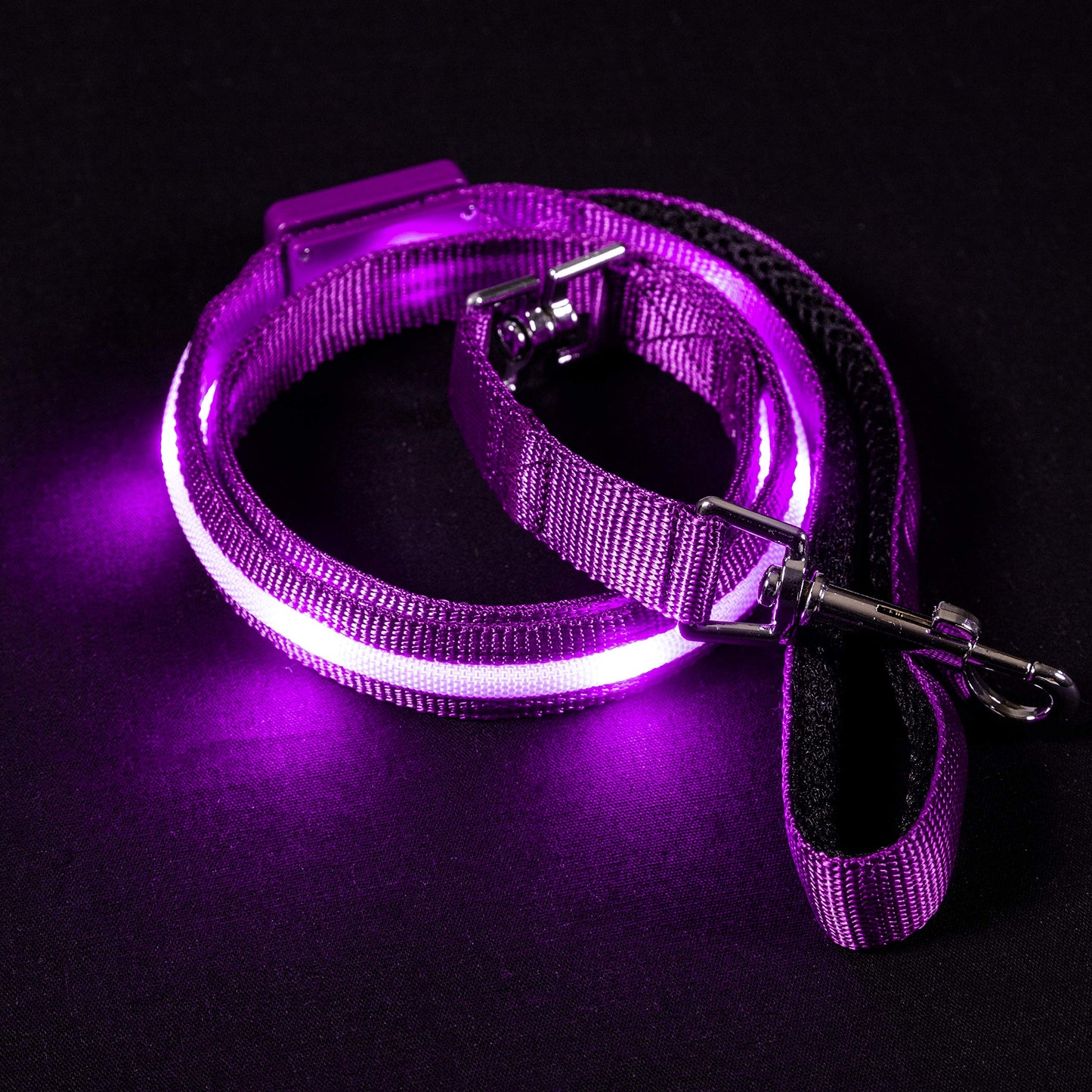 BLAZIN Light Up Dog Leash - 1,000 Feet of Visibility - USB Rechargeable Waterproof Glow in The Dark Dog Leash - 4 Foot, Purple