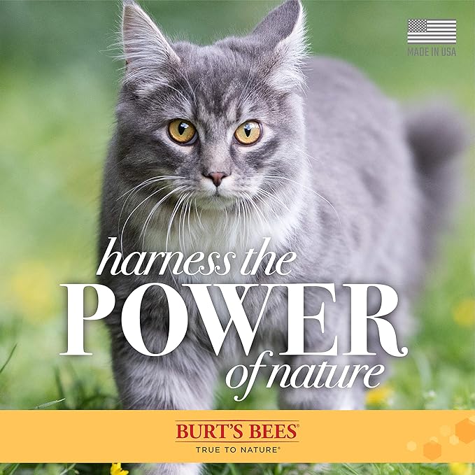 Burt's Bees for Pets Cat Dander Remover Wipes with Colloidal Oat Flour - Pet Dander Remover Cat Wipes for Allergy Relief, Dry Skin Relief for Cats and Kittens, 50 Count