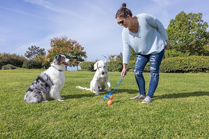Chuckit! The Duo 22M Double Launcher Dog Toy, 22" Length, Includes 2 Medium Tennis Balls (2.5") Size Medium for Breeds 20-60lbs, Multi-Dog and Pack Play