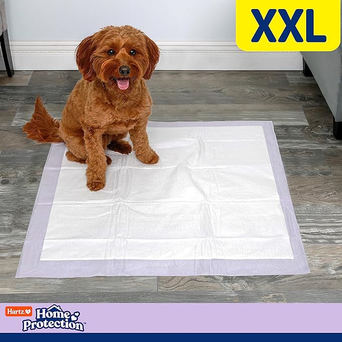 Hartz Home Protection Lavender Scented USA Made Dog Pads, XXL 80 Count, Super Absorbent & Won't Leak, Odor Eliminating