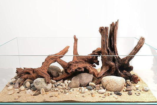 LANDEN Panna Natural Driftwood for Aquarium Decor Freshwater Fish Tank(12-14 inches, 30-35cm) 4pcs Terrariums Vivariums Reptile and Amphibian Enclosures Lizard Bearded Dragon Tortoise Various Shapes