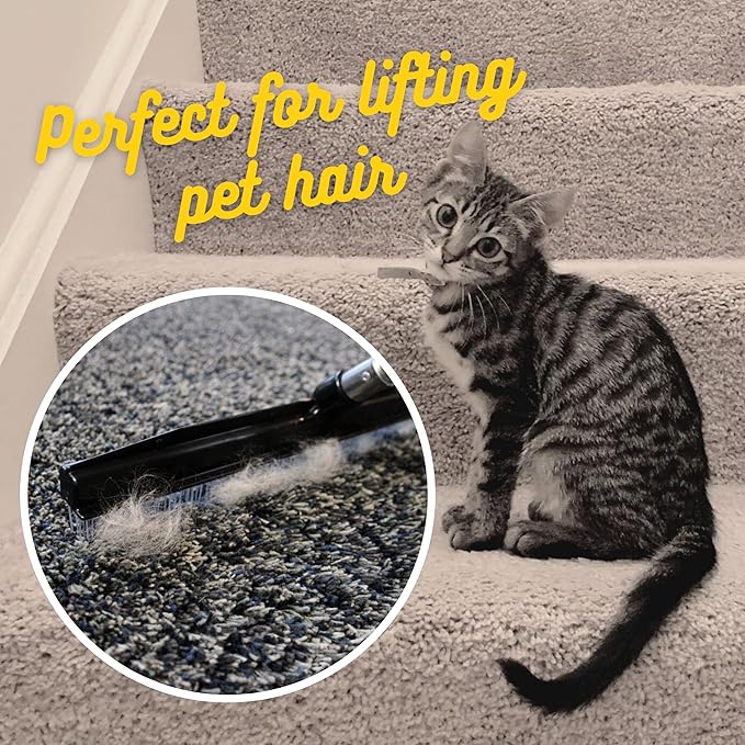 Room Groom Carpet Rake and Groomer with Wood 60" Handle, Sturdy Design, Carpet Brush Ideal for Pet Hair, Refreshing High Pile Carpets, Rugs, and Artificial Turf