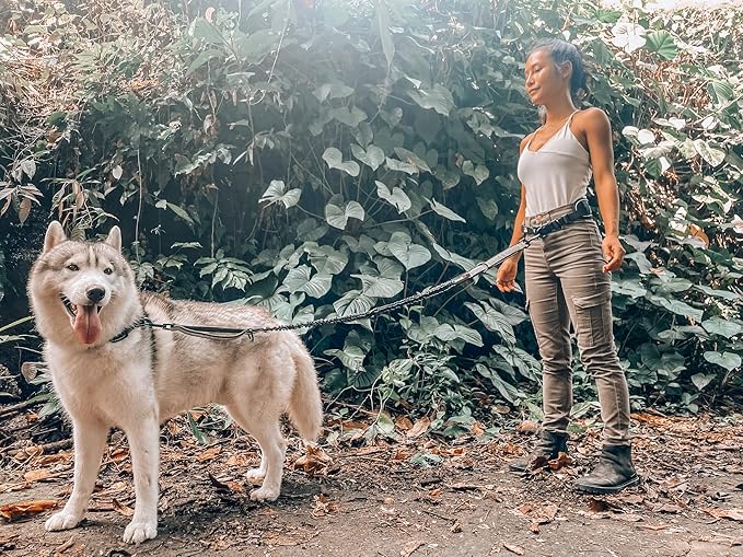 Tuff Pupper Heavy Duty Hands Free Dog Leash | One Large Dog Up to 125 lbs | Comfortable Shock Absorbing Bungee | Reflective Padded Handles | Lumbar Waist Belt 24-42" | Walking Jogging Running Leash