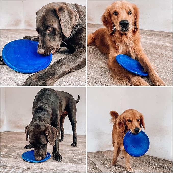 SuperChewy Tough Flying Disc Toy | Lifetime Replacement | Strong Natural Rubber | Great Dog Fetch Toys | Rubber Disc Toy for Dogs | Ultra Durable Chew Toys for Aggressive Chewers | for All Breeds