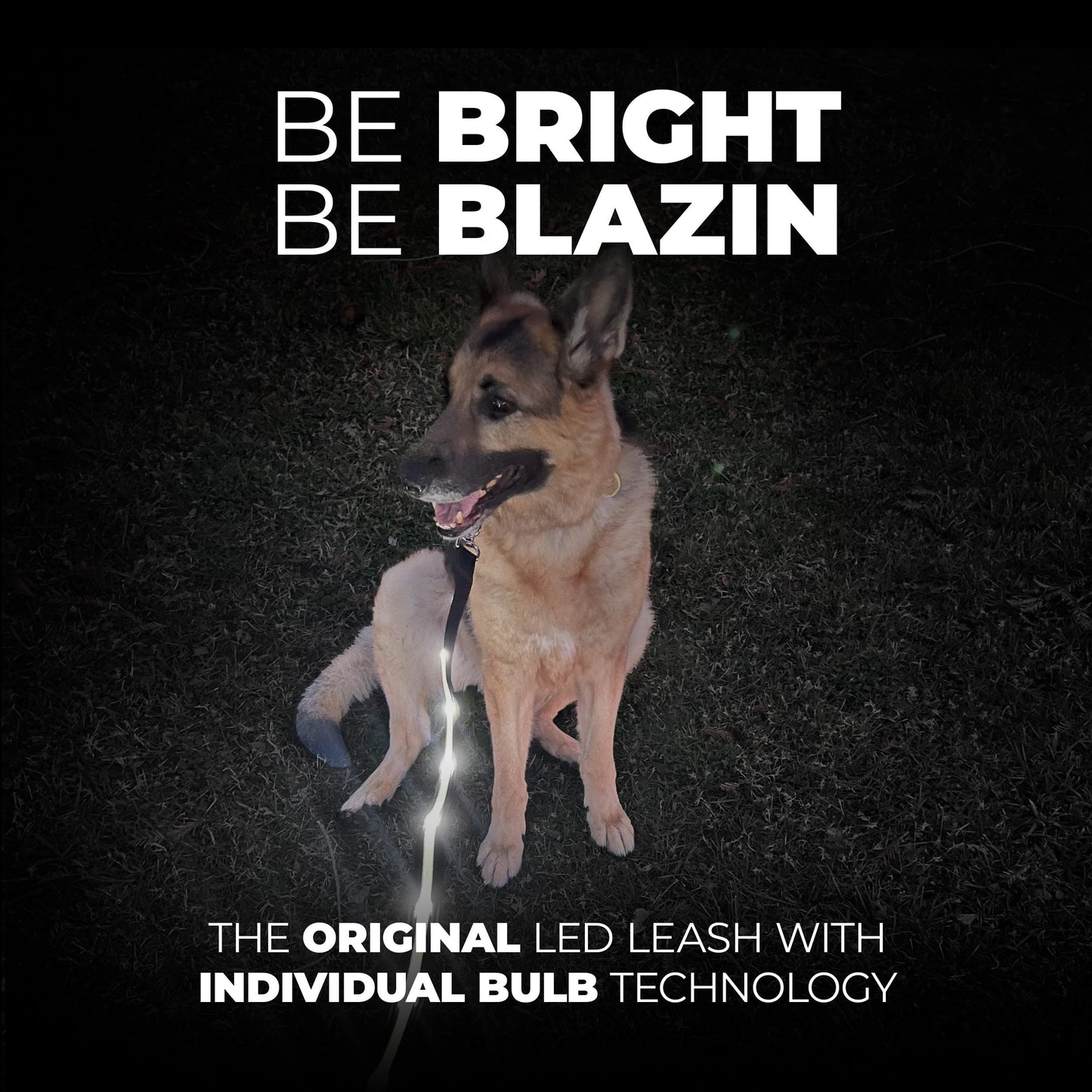 BLAZIN Light Up Dog Leash LED - 1,000 Feet of Visibility - USB Rechargeable Waterproof Glow in The Dark Dog Leash - 6 Foot, Orange
