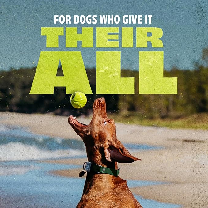 Benebone 2-Pack Rubber Ball