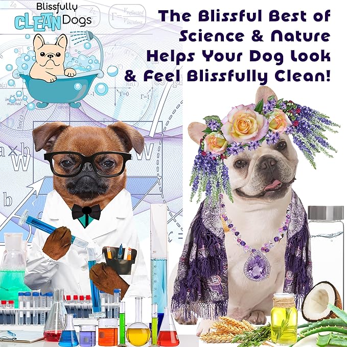 The Blissful Dog Stinky Filthy Dog Shampoo, 16 oz