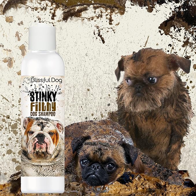 The Blissful Dog Stinky Filthy Dog Shampoo, 8-Ounce