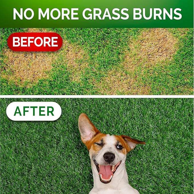 Grass Burn Spot Chews - Dog Urine Neutralizer for Lawn - 120 Grass Green Treats, Rocks - Pee Grass Spot Saver Caused by Dog Urine - Probiotics - Digestive Enzymes - Made in USA